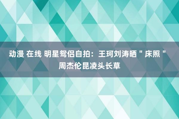 动漫 在线 明星鸳侣自拍：王珂刘涛晒＂床照＂ 周杰伦昆凌头长草