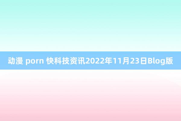 动漫 porn 快科技资讯2022年11月23日Blog版