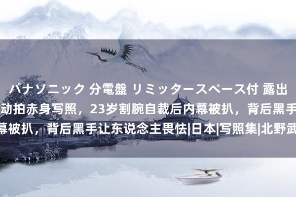 パナソニック 分電盤 リミッタースペース付 露出・半埋込両用形 17岁被动拍赤身写照，23岁割腕自裁后内幕被扒，背后黑手让东说念主畏怯|日本|写照集|北野武|宫泽理惠