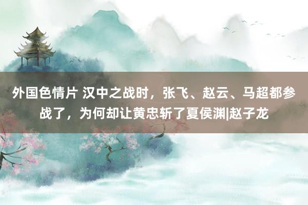 外国色情片 汉中之战时，张飞、赵云、马超都参战了，为何却让黄忠斩了夏侯渊|赵子龙