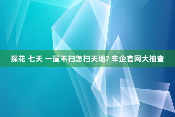 探花 七天 一屋不扫怎扫天地? 车企官网大抽查