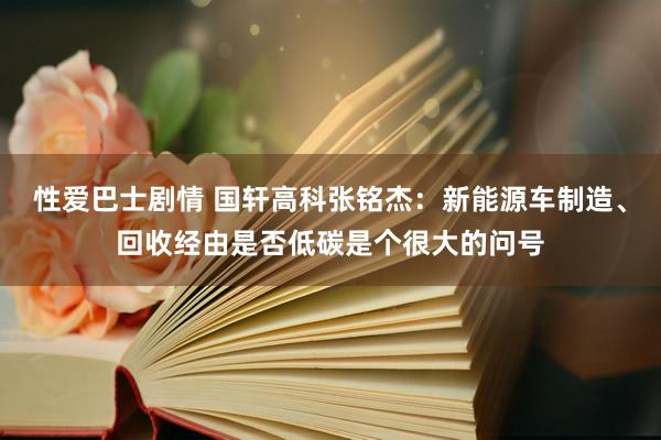 性爱巴士剧情 国轩高科张铭杰：新能源车制造、回收经由是否低碳是个很大的问号