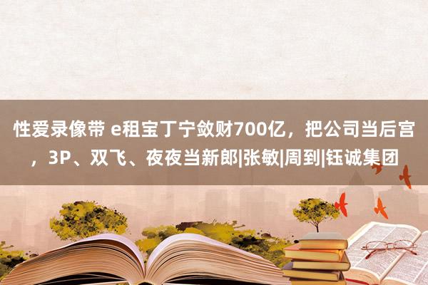 性爱录像带 e租宝丁宁敛财700亿，把公司当后宫，3P、双飞、夜夜当新郎|张敏|周到|钰诚集团